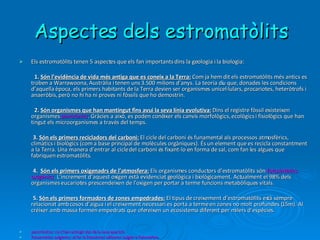 Aspectes dels estromatòlits Els estromatòlits tenen 5 aspectes que els fan importants dins la geologia i la biologia: 1.  Són l’evidència de vida més antiga que es coneix a la Terra:   Com ja hem dit els estromatòlits més antics es troben a Warrawoona, Austràlia i tenen uns 3.500 milions d’anys. La teoria diu que, donades les condicions d’aquella època, els primers habitants de la Terra devien ser organismes unicel·lulars, procariotes, heteròtrofs i anaeròbis, però no hi ha ni proves ni fòssils que ho demostrin. 2.  Són organismes que han mantingut fins avui la seva línia evolutiva:   Dins el registre fòssil existeixen organismes  pancrònics . Gràcies a això, es poden conèixer els canvis morfològics, ecològics i fisiològics que han tingut els microorganismes a través del temps. 3.  Són els primers recicladors del carboni:   El cicle del carboni és funamental als processos atmosfèrics, climàtics i biològics (com a base principal de molècules orgàniques). És un element que es recicla constantment a la Terra. Una manera d’entrar al cicle del carboni és fixant-lo en forma de sal, com fan les algues que fabriquen estromatòlits. 4.  Són els primers oxigenadrs de l’atmosfera:   Els organismes conductors d’estromatòlits són  fotosintètics oxigènics . L’increment d’aquest oxigen està evidenciat geològica i biològicament. Actualment el 98% dels organismes eucariotes prescendeixen de l’oxigen per portar a terme funcions metabòliques vitals. 5.  Són els primers formadors de zones empedrades:   El tipus de creixement d’estromatòlits està sempre relacionat amb cosos d’aigua i el creixement necessari es porta a terme en zones no molt profundes (15m). Al créixer amb massa formen empedrats que ofereixen un ecosistema diferent per milers d’espècies.  pancrónicos: no s’han extingit des de la seva aparició. fotosintètics oxigènics: al fer la fotosíntesi alliberen oxigen a l’atmosfera. 