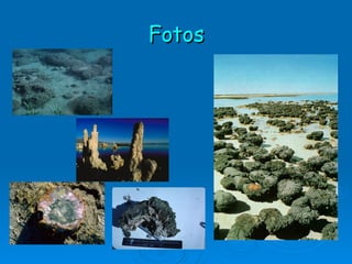 Fotos 