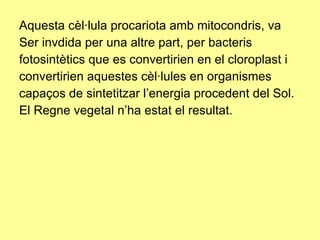 Aquesta cèl·lula procariota amb mitocondris, va Ser invdida per una altre part, per bacteris fotosintètics que es convertirien en el cloroplast i convertirien aquestes cèl·lules en organismes capaços de sintetitzar l’energia procedent del Sol. El Regne vegetal n’ha estat el resultat. 