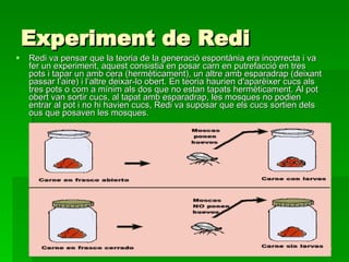 Experiment de Redi Redi va pensar que la teoria de la generació espontània era incorrecta i va fer un experiment, aquest consistia en posar carn en putrefacció en tres pots i tapar un amb cera (hermèticament), un altre amb esparadrap (deixant passar l’aire) i l’altre deixar-lo obert. En teoria haurien d'aparèixer cucs als tres pots o com a mínim als dos que no estan tapats hermèticament. Al pot obert van sortir cucs, al tapat amb esparadrap, les mosques no podien entrar al pot i no hi havien cucs, Redi va suposar que els cucs sortien dels ous que posaven les mosques. 