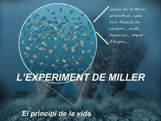 L’EXPERIMENT DE MILLER El principi de la vida 