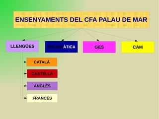 ENSENYAMENTS DEL CFA PALAU DE MAR
LLENGÜES GESINFORMÀTICA CAM
CATALÀ
CASTELLÀ
ANGLÈS
FRANCÈS
 
