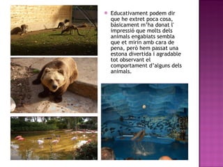 Educativament podem dir que he extret poca cosa, bàsicament m’ha donat l' impressió que molts dels animals engabiats sembla que et mirin amb cara de pena, però hem passat una estona divertida i agradable tot observant el comportament d’alguns dels animals.  