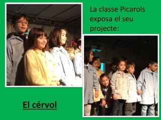 La classe Picarols
exposa el seu
projecte:
El cérvol
 