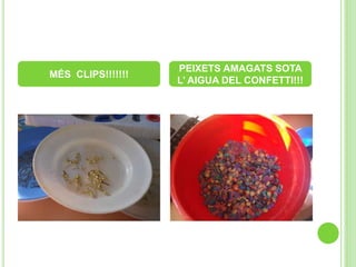 MÉS CLIPS!!!!!!!
PEIXETS AMAGATS SOTA
L’ AIGUA DEL CONFETTI!!!
 