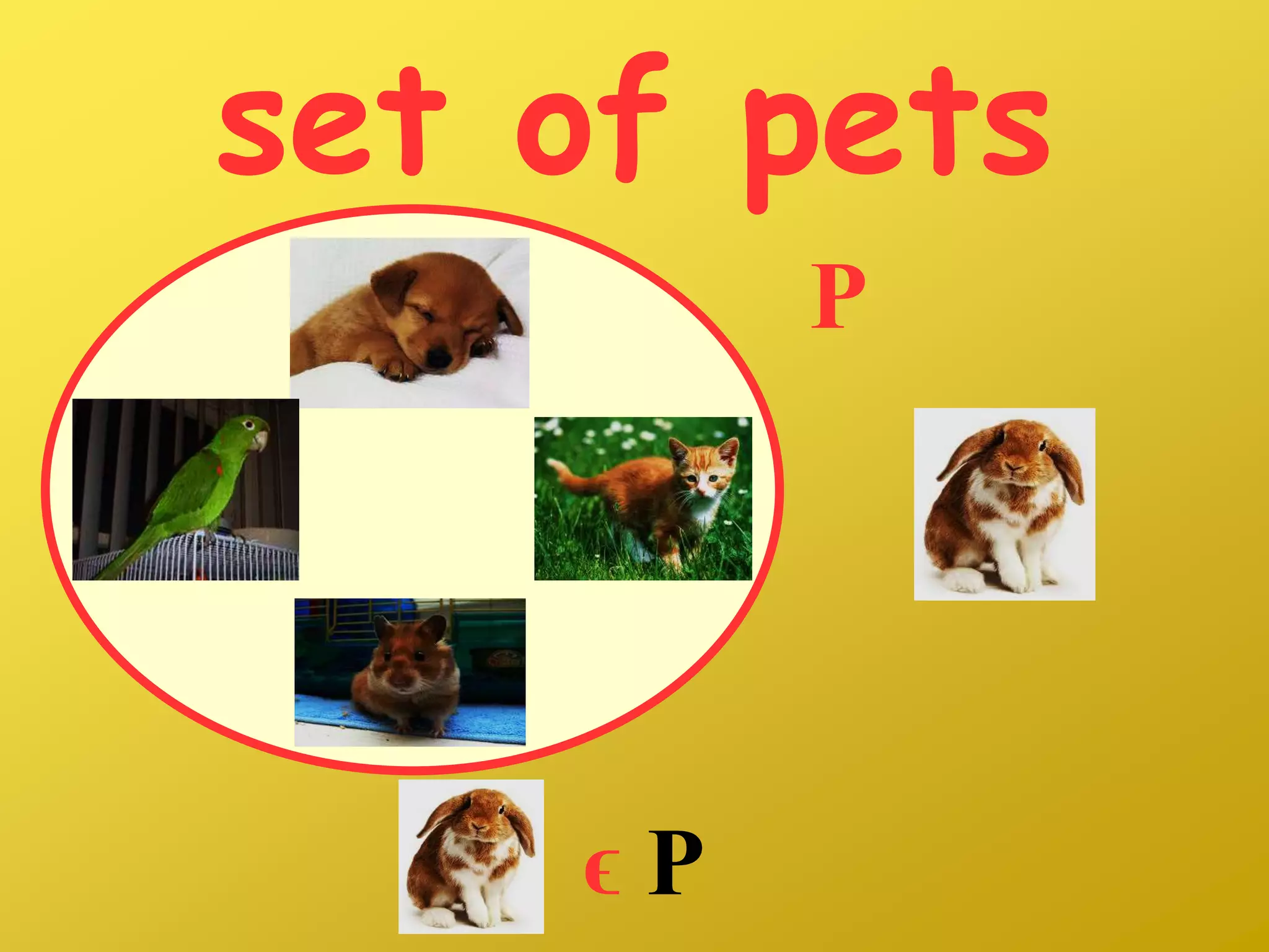 set of pets
P
ϵ P