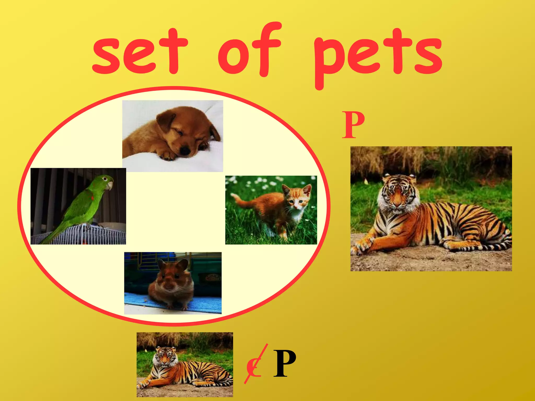 set of pets
P
ϵ P