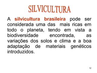 A silvicultura brasileira pode ser
considerada uma das mais ricas em
todo o planeta, tendo em
biodiversidade encontrada,
vista a
as
variações dos solos e clima e a boa
adaptação de materiais genéticos
introduzidos.
12
 
