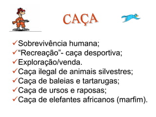 13
✓Sobrevivência humana;
✓“Recreação”- caça desportiva;
✓Exploração/venda.
✓Caça ilegal de animais silvestres;
✓Caça de baleias e tartarugas;
✓Caça de ursos e raposas;
✓Caça de elefantes africanos (marfim).
 