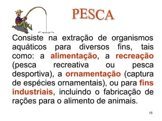 Consiste na extração de organismos
aquáticos para diversos fins, tais
como: a alimentação, a recreação
(pesca recreativa ou pesca
desportiva), a ornamentação (captura
de espécies ornamentais), ou para fins
industriais, incluindo o fabricação de
rações para o alimento de animais.
15
 