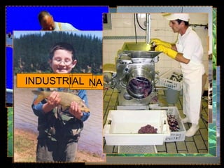 OR A
ALIMENTAÇÃO
MENTAÇÃO
RECREATIVA
INDUSTRIAL N
 