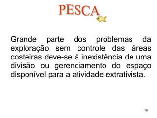 18
Grande parte dos problemas da
exploração sem controle das áreas
costeiras deve-se à inexistência de uma
divisão ou gerenciamento do espaço
disponível para a atividade extrativista.
 