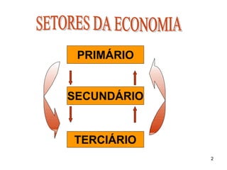 SETORES DA ECONOMIA - AULA PRONTA EM SLIDES | PDF