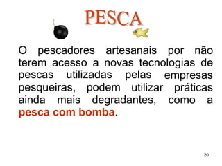 O pescadores artesanais por não
terem acesso a novas tecnologias de
pesqueiras, podem
pescas utilizadas pelas
utilizar
empresas
práticas
ainda mais degradantes, como a
pesca com bomba.
20
 