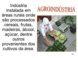 Indústria
instalada em
áreas rurais onde
são processados
cereais, frutas,
madeiras, álcool,
açúcar, dentre
outros
provenientes dos
cultivos da área.
30
 