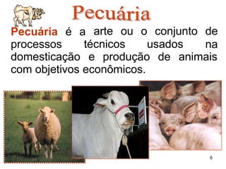Pecuária é a
processos técnicos usados
arte ou o conjunto de
na
domesticação e produção de animais
com objetivos econômicos.
6
 