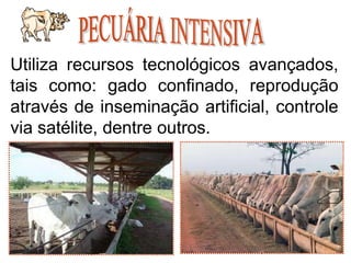 8
Utiliza recursos tecnológicos avançados,
tais como: gado confinado, reprodução
através de inseminação artificial, controle
via satélite, dentre outros.
 