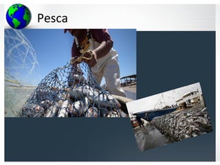Pesca
 