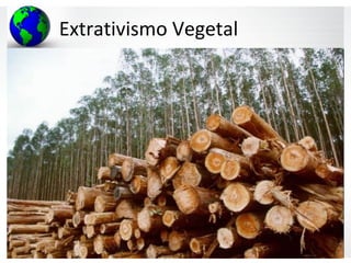 Extrativismo Vegetal
 