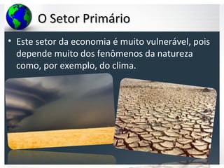O Setor PrimárioO Setor Primário
• Este setor da economia é muito vulnerável, pois
depende muito dos fenômenos da natureza
como, por exemplo, do clima.
 