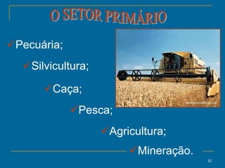 12
Agricultura;
Pecuária;
Silvicultura;
Caça;
Mineração.
Pesca;
 