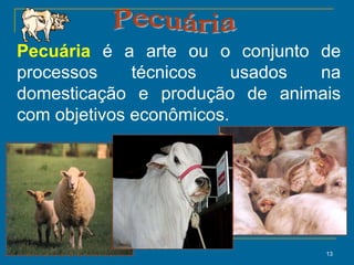 13
Pecuária é a arte ou o conjunto de
processos técnicos usados na
domesticação e produção de animais
com objetivos econômicos.
 