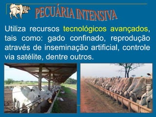14
Utiliza recursos tecnológicos avançados,
tais como: gado confinado, reprodução
através de inseminação artificial, controle
via satélite, dentre outros.
 