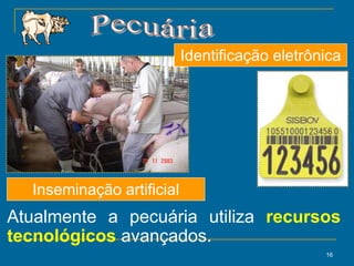16
Atualmente a pecuária utiliza recursos
tecnológicos avançados.
Inseminação artificial
Identificação eletrônica
 