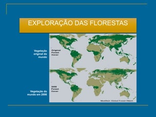 EXPLORAÇÃO DAS FLORESTAS
Vegetação
original do
mundo
Vegetação do
mundo em 2006
 