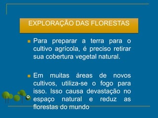 EXPLORAÇÃO DAS FLORESTAS
 Para preparar a terra para o
cultivo agrícola, é preciso retirar
sua cobertura vegetal natural.
 Em muitas áreas de novos
cultivos, utiliza-se o fogo para
isso. Isso causa devastação no
espaço natural e reduz as
florestas do mundo
 