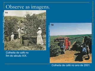 ParteintegrantedaobraGeografiahomem&espaço,EditoraSaraiva
Observe as imagens.
Colheita de café no
fim do século XIX.
Colheita de café no ano de 2001.
MarcFerrez/AcervoInstitutoMoreiraSalles
DelfimMartins/PulsarImagens
 