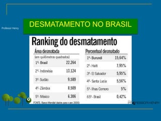 DESMATAMENTO NO BRASILProfessor Henry
 