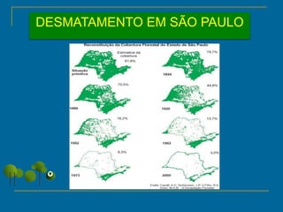 DESMATAMENTO EM SÃO PAULO
 