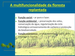 A multifuncionalidade da floresta
replantada
Função social – ar puro e lazer.
Função ambiental – preservação dos solos,
conservação da água, regularização do ciclo
hidrológico armazenamento de carbono e protecção
da biodiversidade.
Função económica : produz matérias e frutos; gera
emprego e riqueza
 