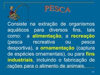29
Consiste na extração de organismos
aquáticos para diversos fins, tais
como: a alimentação, a recreação
(pesca recreativa ou pesca
desportiva), a ornamentação (captura
de espécies ornamentais), ou para fins
industriais, incluindo o fabricação de
rações para o alimento de animais.
 