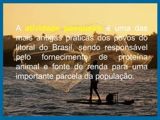 31
A atividade pesqueira é uma das
mais antigas práticas dos povos do
litoral do Brasil, sendo responsável
pelo fornecimento de proteína
animal e fonte de renda para uma
importante parcela da população.
 