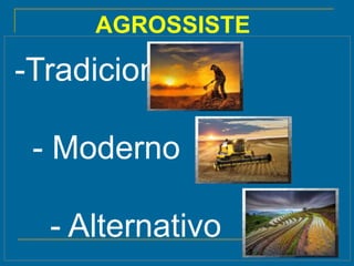 -Tradicional
- Moderno
- Alternativo
AGROSSISTE
MAS
 