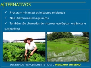  Procuram minimizar os impactos ambientais
 Não utilizam insumos químicos
 Também são chamados de sistemas ecológicos, orgânicos e
sustentáveis
 Exemplos: Hidropônica, terraceamento e orgânicos.
ALTERNATIVOS
DESTINADO PRINCIPALMENTE PARA O MERCADO INTERNO
 