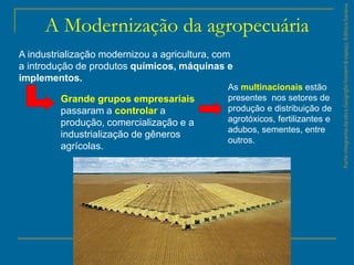 ParteintegrantedaobraGeografiahomem&espaço,EditoraSaraiva
A Modernização da agropecuária
A industrialização modernizou a agricultura, com
a introdução de produtos químicos, máquinas e
implementos.
Grande grupos empresariais
passaram a controlar a
produção, comercialização e a
industrialização de gêneros
agrícolas.
As multinacionais estão
presentes nos setores de
produção e distribuição de
agrotóxicos, fertilizantes e
adubos, sementes, entre
outros.
 