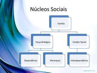 Núcleos Sociais
Família
Força Biológica
Dependência Hierarquia
Caráter Social
Interdependência
 