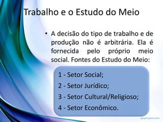 Trabalho e o Estudo do Meio
• A decisão do tipo de trabalho e de
produção não é arbitrária. Ela é
fornecida pelo próprio meio
social. Fontes do Estudo do Meio:
1 - Setor Social;
2 - Setor Jurídico;
3 - Setor Cultural/Religioso;
4 - Setor Econômico.
 