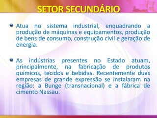 SETOR SECUNDÁRIO
Atua no sistema industrial, enquadrando a
produção de máquinas e equipamentos, produção
de bens de consumo, construção civil e geração de
energia.
As indústrias presentes no Estado atuam,
principalmente, na fabricação de produtos
químicos, tecidos e bebidas. Recentemente duas
empresas de grande expressão se instalaram na
região: a Bunge (transnacional) e a fábrica de
cimento Nassau.

 