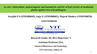 1
In vitro Antioxidant, anticariogenic and haemolytic activity of leaf extract of medicinal
plants against two oral pathogens
Sreejith P S (15MSB0045), Anju G (15MSB0062), Majesh Mathew (15MSM0070).
Research Guide: Dr. Devi Rajeswari V
Assistant Professor (Sr),
School of Biosciences and Technology,
VIT University, Vellore-14.
12SETMSB0106
 