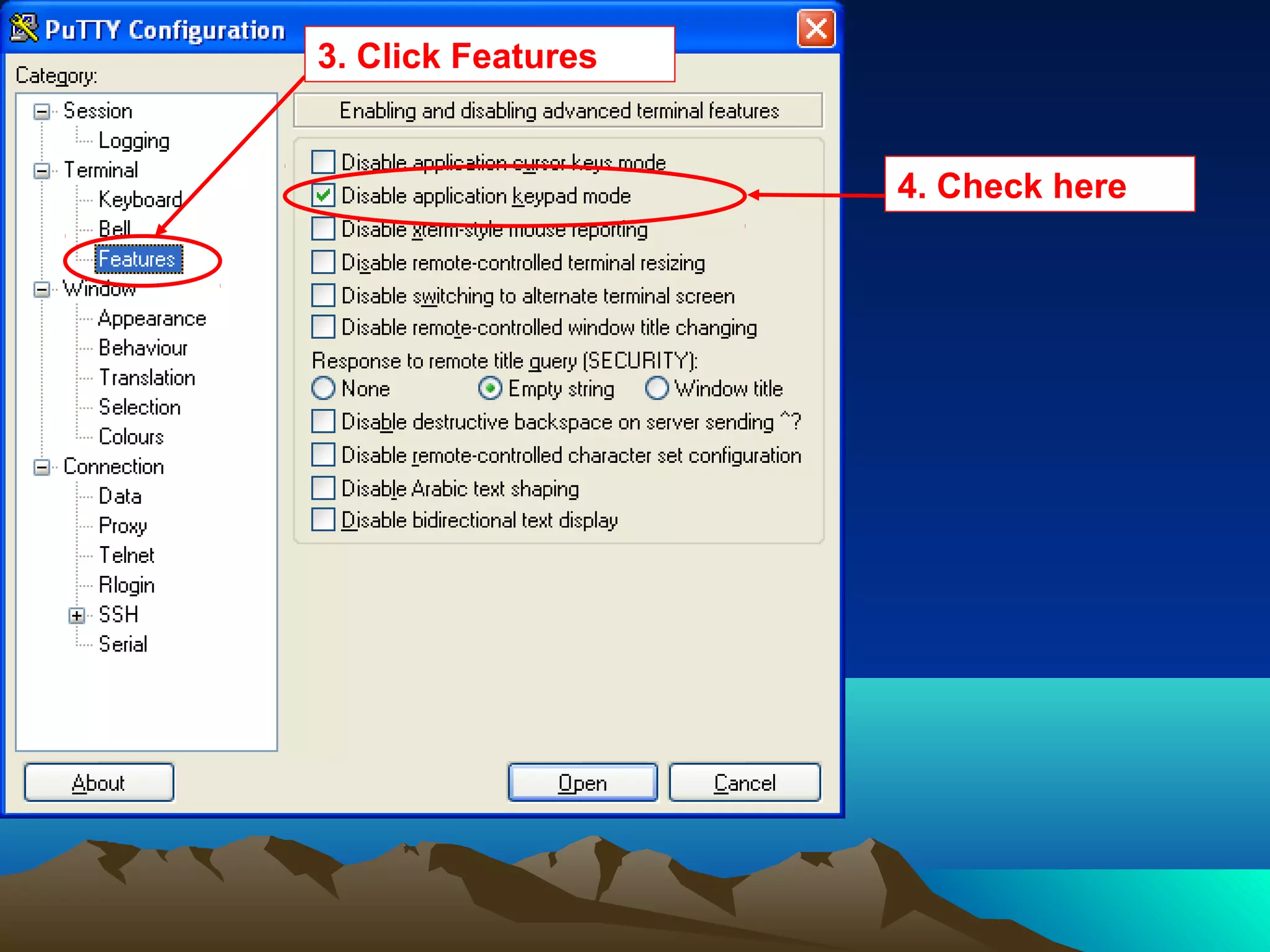 3. Click Features
4. Check here
 