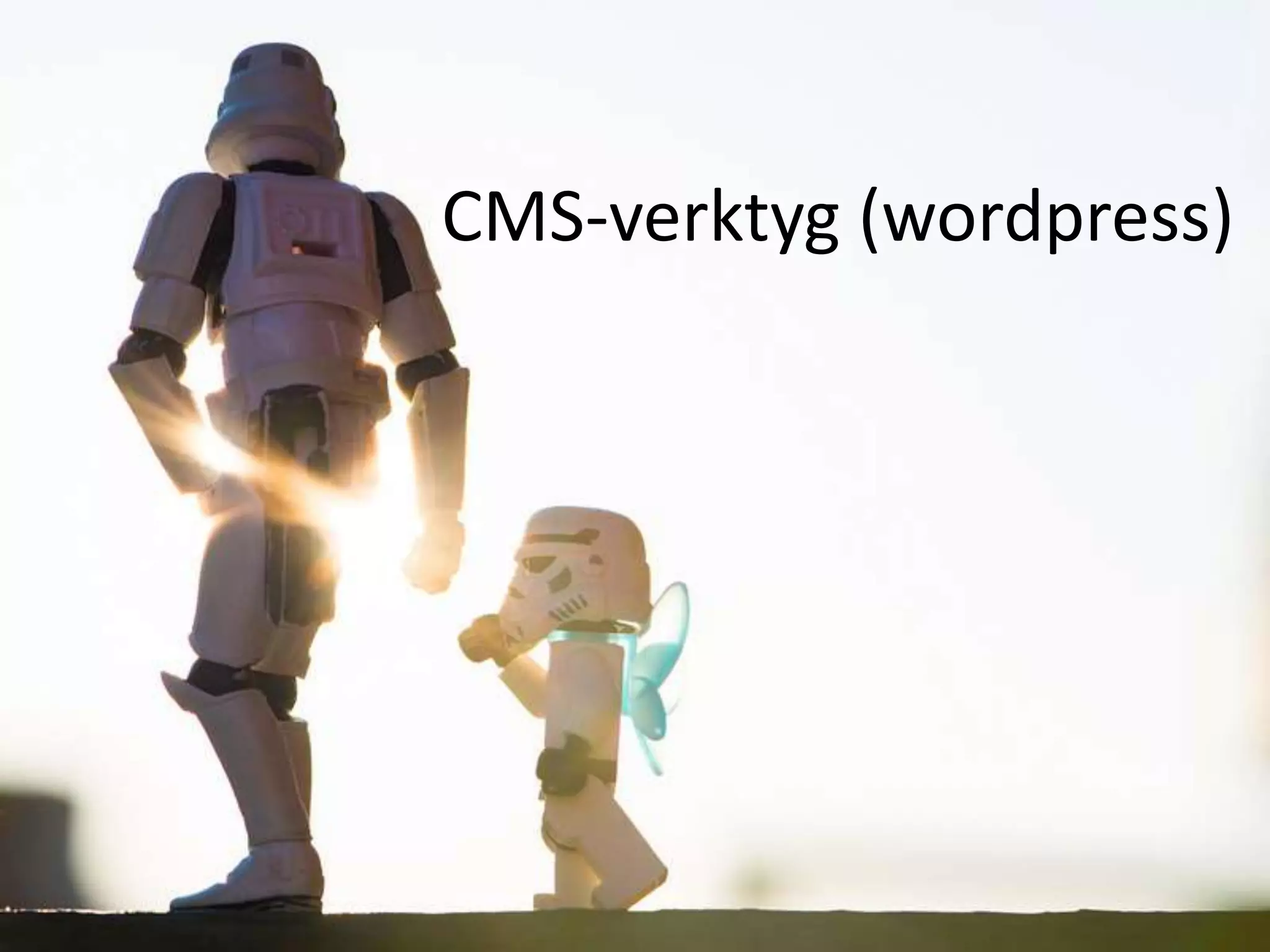 CMS-verktyg (wordpress)
 