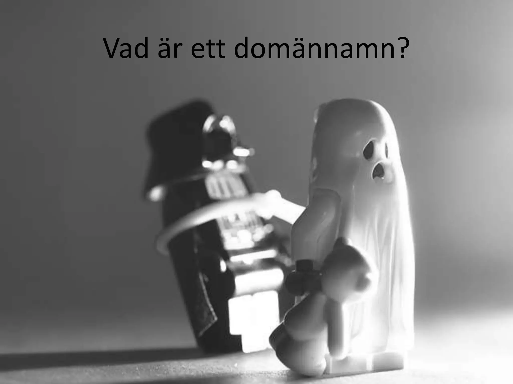 Vad är ett domännamn?
 