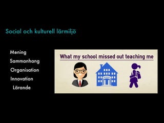 Social och kulturell lärmiljö
Mening
Sammanhang
Organisation
Innovation
Lärande
 