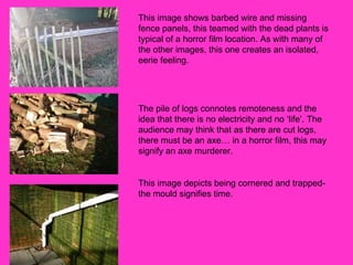 This image shows barbed wire and missing fence panels, this teamed with the dead plants is typical of a horror film location. As with many of the other images, this one creates an isolated, eerie feeling.  The pile of logs connotes remoteness and the idea that there is no electricity and no ‘life’. The audience may think that as there are cut logs, there must be an axe… in a horror film, this may signify an axe murderer.  This image depicts being cornered and trapped- the mould signifies time.  
