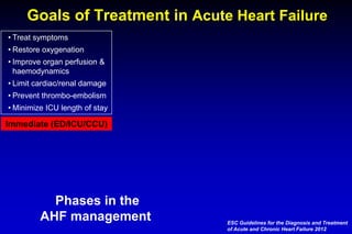 Setting the stage review of the esc acute heart failure guidelines | PDF