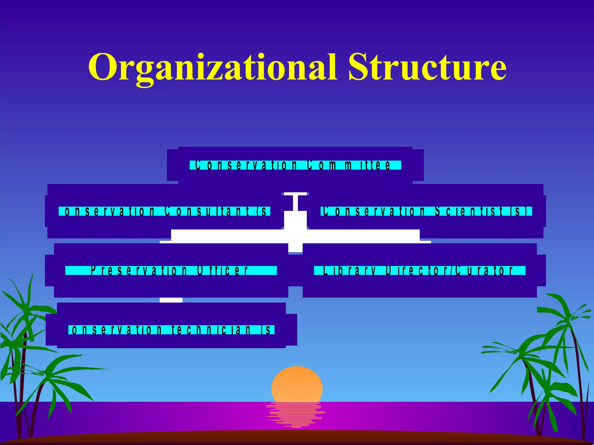 Organizational Structure 
